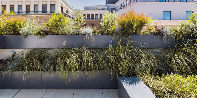 Fioriera rettangolare grigia lunga, piantumata a graminacee, su un terrazzo urbano