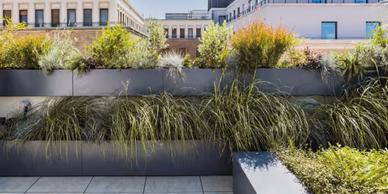 Fioriera rettangolare grigia lunga, piantumata a graminacee, su un terrazzo urbano