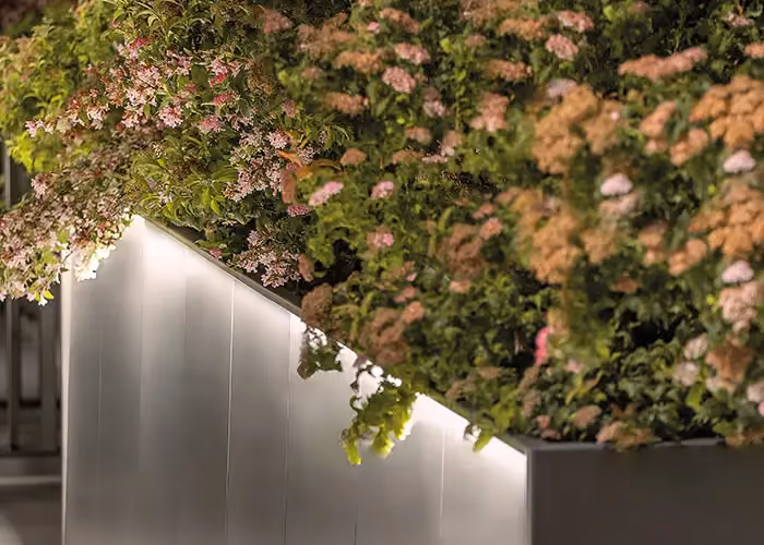 Modularte Cubo Led Außengefäß mit integriertem Licht: Detail des modernen Designs mit grünen Pflanzen und anthrazitgrauer Metalloberfläche.