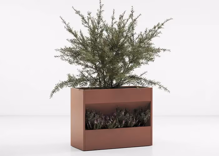 Modernes rechteckiges Pflanzgefäß in Terrakotta mit zwei Fächern für Zierbepflanzung, mit grünem Strauch und kleinen Zierpflanzen, fotografiert auf minimalistisch weißem Grund.