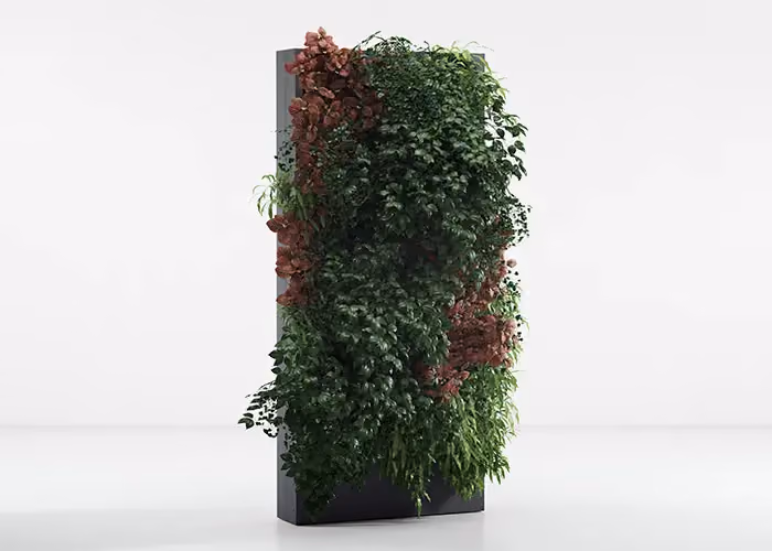 Moderne vertikale grüne Wand mit freistehendem dunklem Metallrahmen, überwachsen von überhängender Zierbepflanzung.