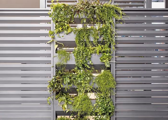 Modularer vertikaler Garten mit grünen Hängepflanzen, integriert in eine dunkelgraue Wand mit waagerechten Latten.