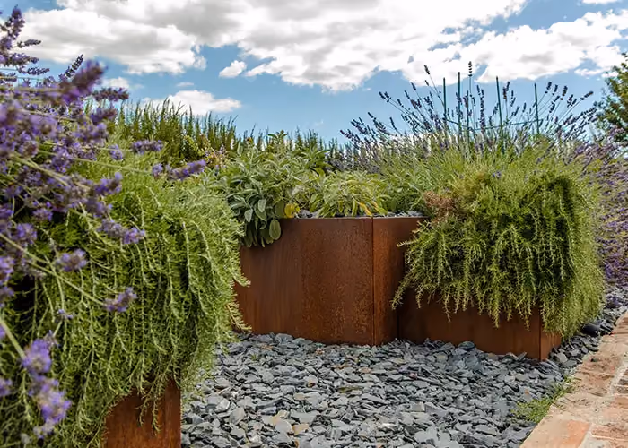Composizione di fioriere effetto corten con lavanda e vegetazione ornamentale, disposte su ghiaia in un giardino paesaggistico.