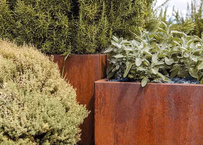 Dettaglio di fioriere moderne effetto corten con arbusti verdi e piante aromatiche ornamentali in un giardino contemporaneo.